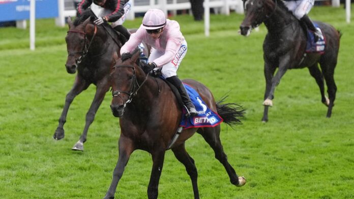 skysports-christmas-day-racing_7266932.jpg