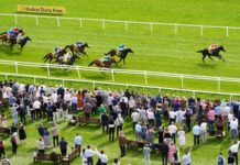 Forty Years On returns at Newbury