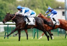 Nighttime and Synaran clash at ParisLongchamp