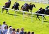 Today on Sky Sports Racing: Regal Envoy back to defend his Windsor crown
