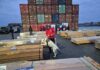 Dogs help uncover record haul of drugs hidden in lumber