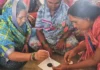 Pune Scientist’s Portable Device Helps Farmers Check Soil Health in Just a Few Minutes