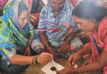 Pune Scientist’s Portable Device Helps Farmers Check Soil Health in Just a Few Minutes