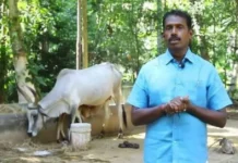 This Tamil Nadu Farmer Turned a Loss-Making Coconut Farm Into a Rs 3 Lakh-Per-Acre Success Story