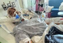 Teen San Antonio Spurs fan dies after tragic fall during NBA Finals celebration
