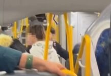 Teens attack man on train who asked them to turn down their music, shocking video shows