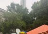 No bags allowed at Knicks ticker tape parade — unless its Jordyn Woods’ lucky purse