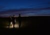 The nature reserve where ‘magical’ glow worms thrive