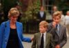 ‘I knew Princess Diana – she would be distraught by William and Harry’s bitter rift’