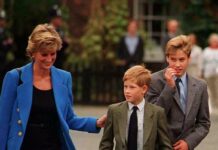 ‘I knew Princess Diana – she would be distraught by William and Harry’s bitter rift’