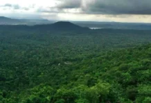 This Forest Officer Wants to Turn Ujjain From a Concrete Jungle Back Into a Sacred Forest