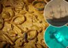 Mystery of gold coin shipwreck finally unmasked after 30 years: ‘Fantastic conclusion’
