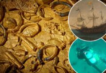 Mystery of gold coin shipwreck finally unmasked after 30 years: ‘Fantastic conclusion’