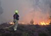 Suffolk wildfire near Sizewell nuclear plant ‘stabilising’ after 24 hours