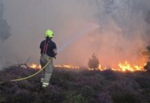 Suffolk wildfire near Sizewell nuclear plant ‘stabilising’ after 24 hours
