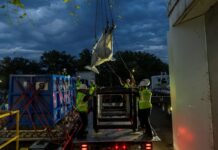 Inside the Wild Rescue Mission That Took 4 Beluga Whales to Chicago