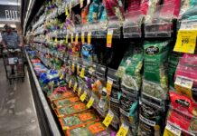 FDA says Taylor Farms had false positive after test pinned ‘explosive diarrhea’ parasite on Taco Bell lettuce supplier