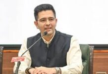 Delhi HC Orders Takedown of Objectionable Posts Targeting Raghav Chadha