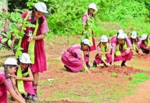 Malkajgiri Municipal Corporation Pushes Tree Plantation