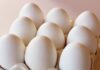 Eggs Missing From Mid-Day Meals As Price Urge Hits Agencies