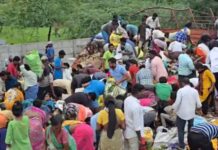 Apple-Laden DCM Overturns on Warangal–Khammam Highway, Crowd Loots Fruit