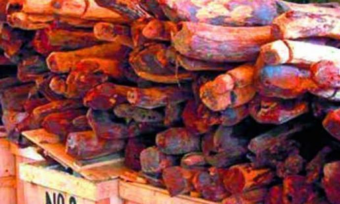 Tamil Nadu Smuggler Gets Five-Year Jail Term