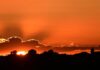 Thousands may have died in UK’s exceptional May and June heatwaves