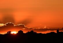 Thousands may have died in UK’s exceptional May and June heatwaves