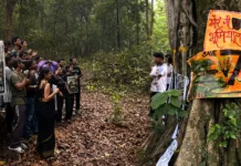 When a Highway Threatened Dehradun’s 100-Yo Sal Trees, Residents Brought Back the ‘Chipko’ Spirit