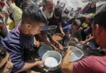 أكثر من 1.4 مليون شخص في غزة يعانون انعدام الأمن الغذائي الحاد