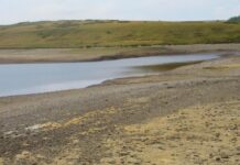 Drought declared across whole of Wales as conditions ‘deteriorate’