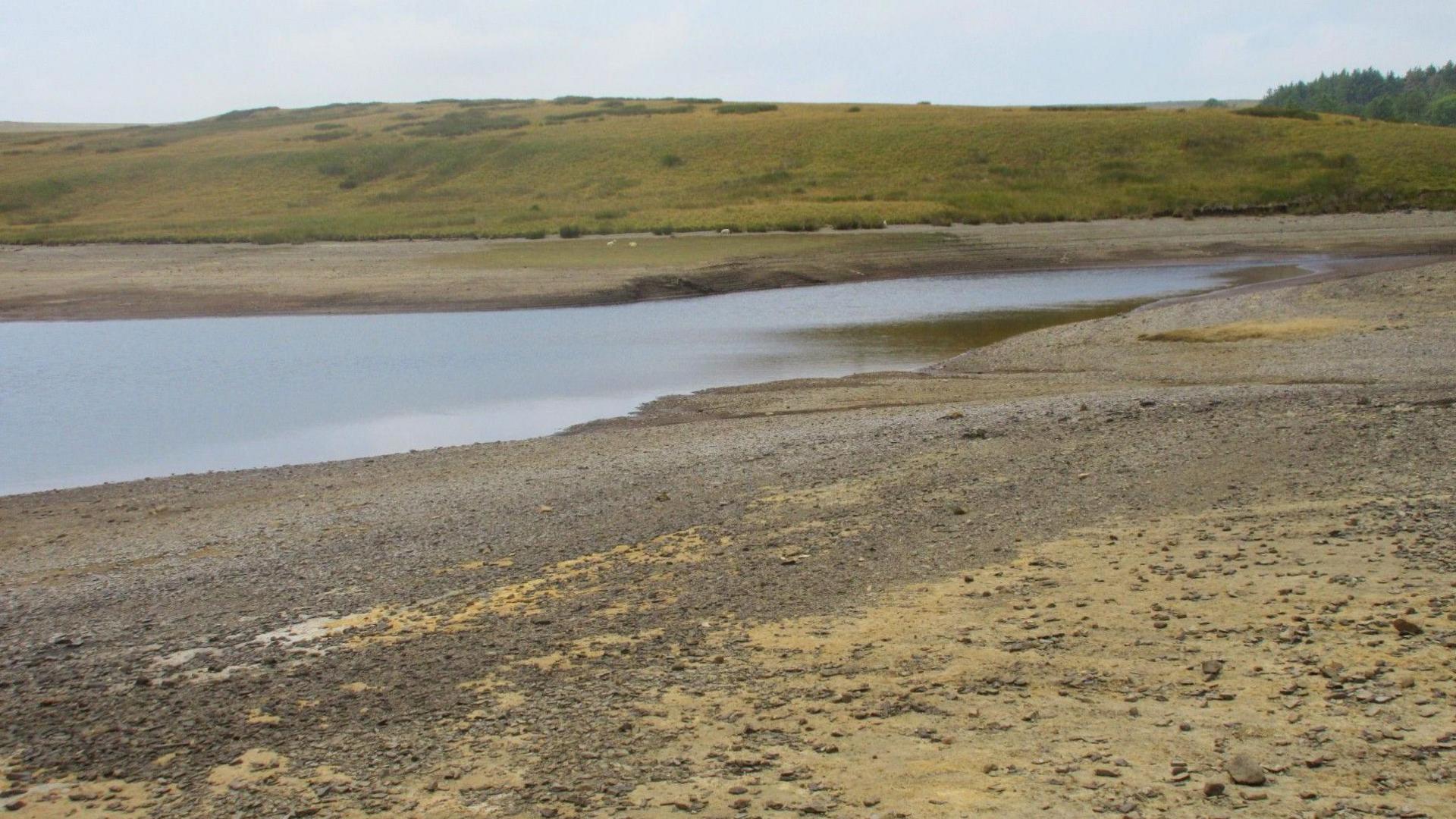 Drought declared across whole of Wales as conditions ‘deteriorate’