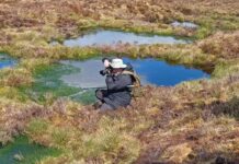 Scientist dubbed The Bogfather is restoring peatland to fight climate change