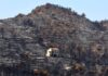 ‘Extremely scary findings’ show climate crisis is supercharging Europe’s wildfire weather