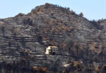 ‘Extremely scary findings’ show climate crisis is supercharging Europe’s wildfire weather
