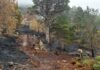 Swathes of Cairngorms unrecognisable after 12 days of ‘cataclysmic’ wildfires