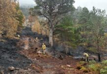 Swathes of Cairngorms unrecognisable after 12 days of ‘cataclysmic’ wildfires