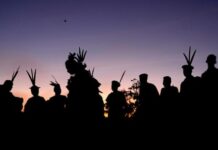 Gangs taking villages on Brazil-Peru border ‘hostage’, say Indigenous leaders