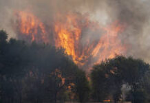 EU sanctions on Russia obstruct fight against raging wildfires
