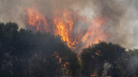EU sanctions on Russia obstruct fight against raging wildfires
