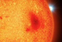 Astronomers’ surprise at discovery of new stars