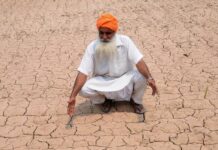Farming worries after India records driest June in over a decade