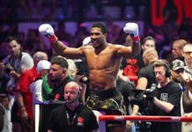 ‘It hurts to even talk about it’: Joshua dedicates chaotic win over Prenga to late team-mates as Fury bout remains on course