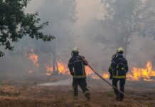 France deploys giant military cargo plane to dump tons of flame retardants as European wildfires displace more than 250,000