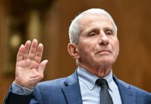 Conservatives mock Talarico for gushing over Fauci doll in resurfaced Christmas post