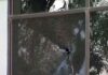 FBI investigating after ICE headquarters in Phoenix riddled with gunfire