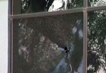 FBI investigating after ICE headquarters in Phoenix riddled with gunfire