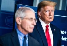 Inside Fauci’s private diary: What he wrote about Trump, TV personalities and celebrities