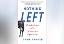 Ex-Dem operative details ‘new donor establishment’ behind Mamdani-era progressives: ‘Not from the grassroots’
