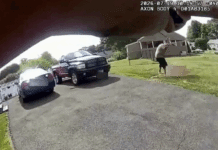 Connecticut Man Beats Father to Death on Camera Before Being Shot Dead By Police